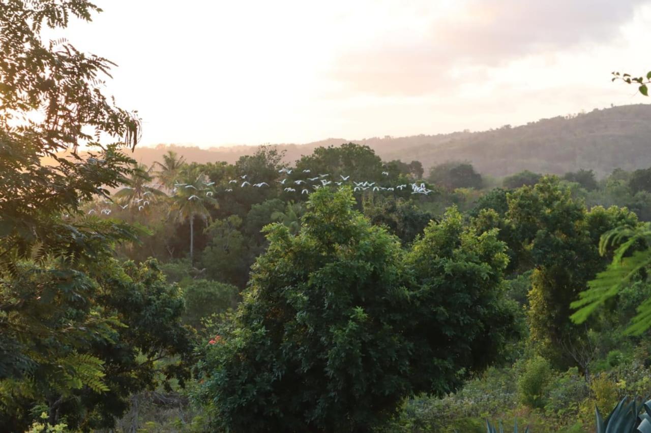 Sumba Nautil Resort Deke Екстер'єр фото
